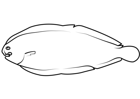 Common Sole (Solea Solea) Coloring Page